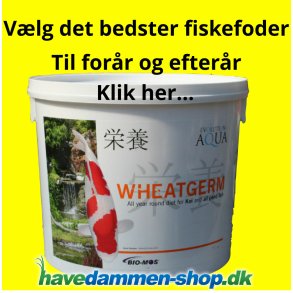 Forårs- & Efterårsfoder
