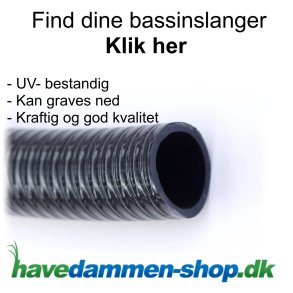 Bassinslanger til havedam