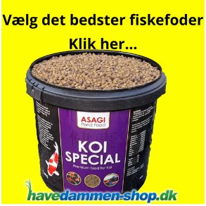 Fiskefoder om sommeren