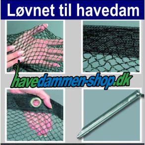 Løvnet over havedam