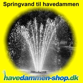 Springvand