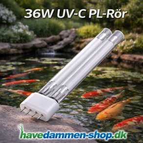 36W UV-C PL-r�r &ndash; Kraftig l�sning til klar havedam