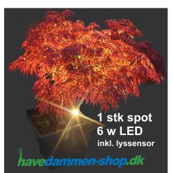 1X6W LED SPOT havedam / havebelysning med�en lyssensor