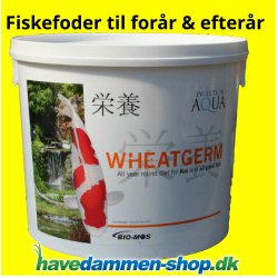 Fiskefoder Wheatgerm 2 kg, 56 mm / Forrs- og efterrsfoder til koi og damfisk