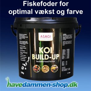 Koi Build-Up  6-8mm 6 liter  Mad til Koi for optimal vkst og farve