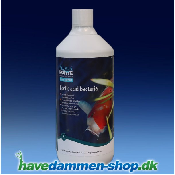 M�lkesyrebakterier til havedam -  Naturlig forbedring af vandkvaliteten