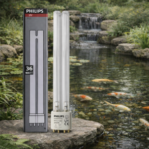 36W UV-C PL-r�r Philips � Kraftig l�sning til klar havedam