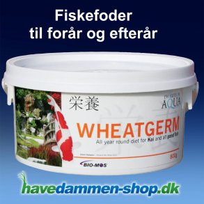 Fiskefoder Wheatgerm 800g - Pillestrrelse 3-4mm