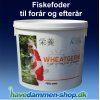 Fiskefoder Wheatgerm 2 kg, 56 mm / Forrs- og efterrsfoder til koi og damfisk
