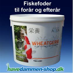 Fiskefoder Wheatgerm 2 kg, 56 mm / Forrs- og efterrsfoder til koi og damfisk