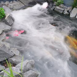 Tgemaskine til havedam elle vandkunst - Mist Maker DK9-36