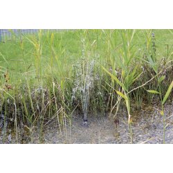 PondoSolar 600 solcelle pumpe springvand med LED lys